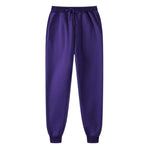 Parine XXL / Purple / China Długie Bawełniane Spodnie Dresowe Męskie