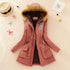 Parine Dark Pink / XL Kurtka