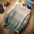 Parine Sweter meski 29