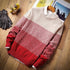 Parine Sweter meski 29
