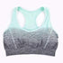 Biustonosz Sportowy Ombre - Parine