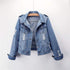 parine.pl Wersja 1 / 4XL Jeansowa Kurtka Z Przetarciami