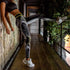 parine.pl Sport > Legginsy Sportowe Legginsy We Wzory